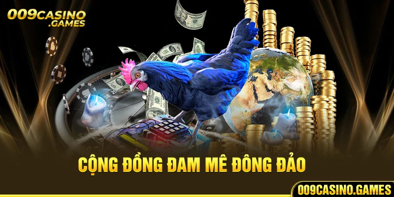 Cộng đồng đam mê đông đảo