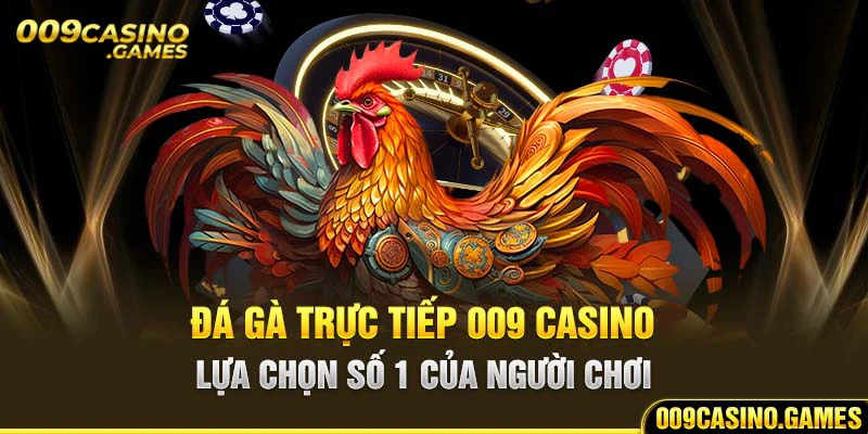 Đá gà trực tiếp 009 casino - lựa chọn số 1 của người chơi