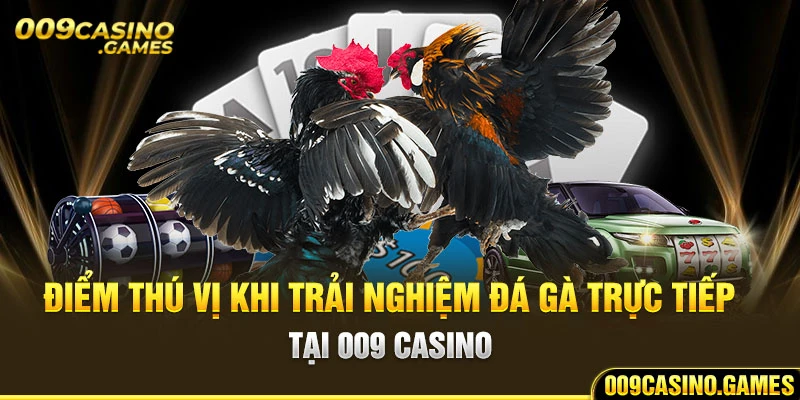 Đá gà trực tiếp tại 009 casino an toàn, minh bạch