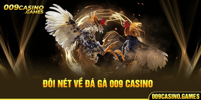 Đôi nét về đá gà 009 casino