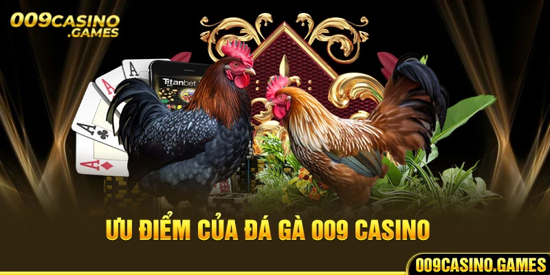 Ưu điểm của đá gà 009 casino